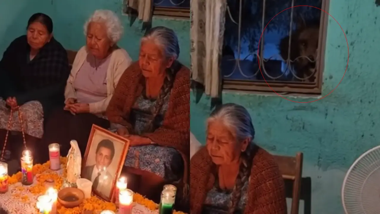 ¿Real? Video muestra presunta criatura demoníaca durante rosario