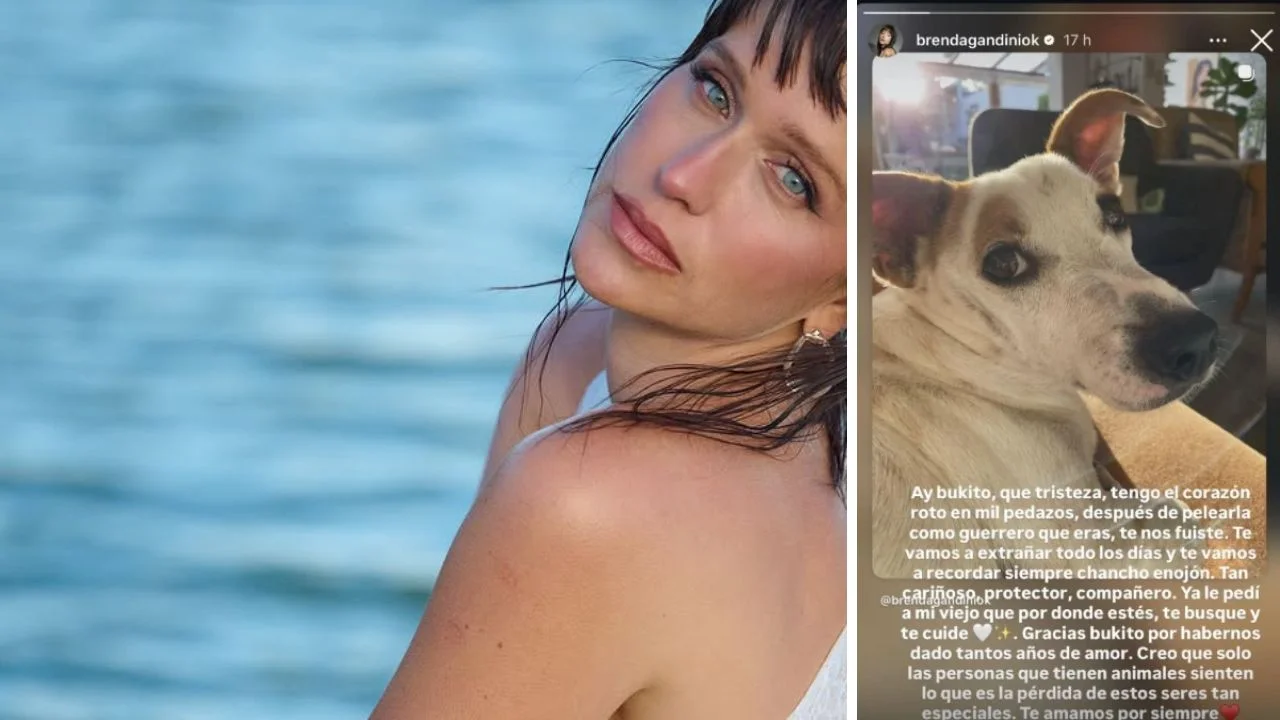 ¿Qué le pasó a Brenda Gandini? La actriz atraviesa un doloroso momento