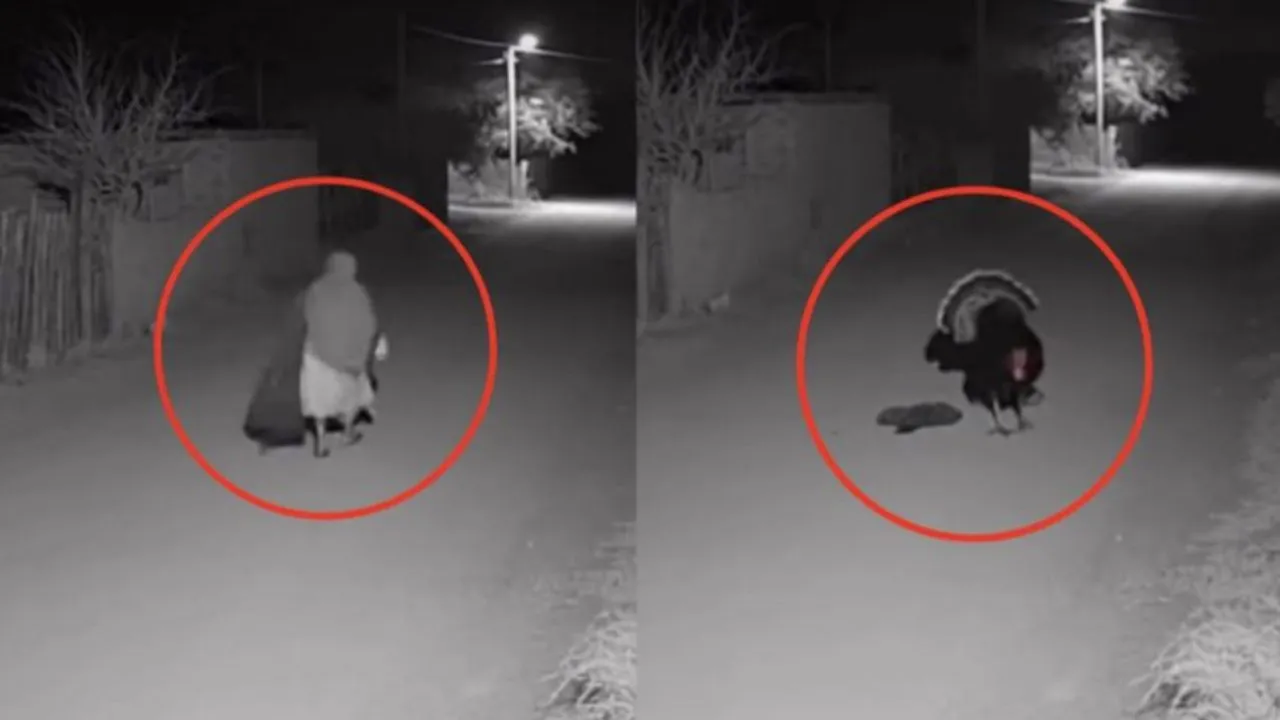 VIDEO: Captan supuesta transformación de una 'bruja' en un pavo