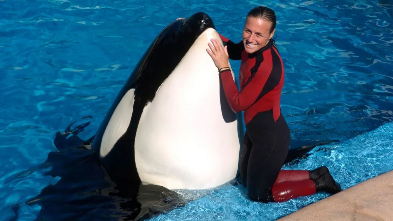 Dawn Brancheau video viral: clip de completo de orca que mató a su entrenadora