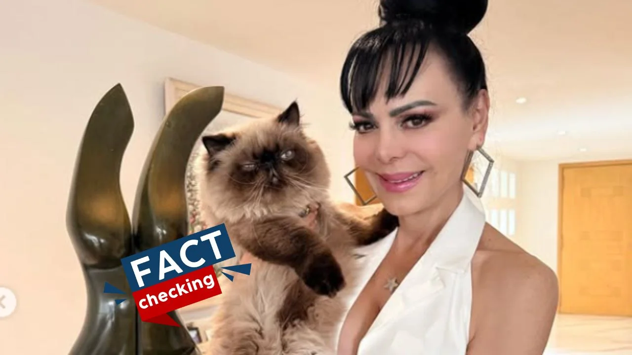 ¿Es verdad que Maribel Guardia murió hoy, 2026? ¿Qué le pasó? ¿Falleció?