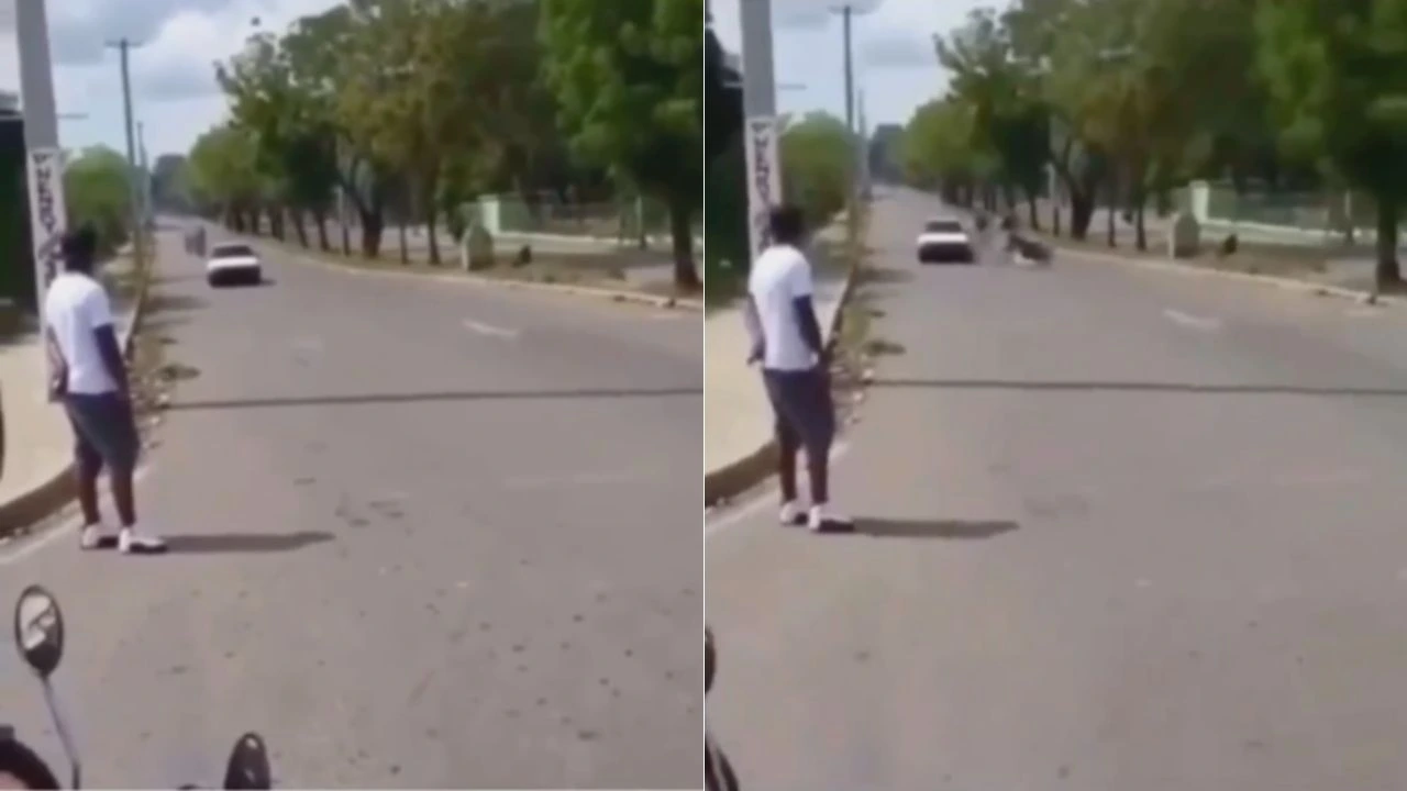 Usa tu casco Forogore: video completo de moto es viral en Twitter y Telegram